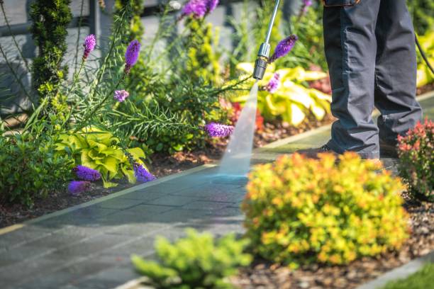 Best Sidewalk and Walkway Cleaning  in Hartsville, TN